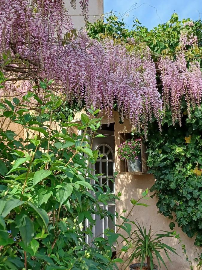 Suite Avec Jardin Entre Aix En Provence, Luberon Et Verdon Peyrolles-en-Provence Esterno foto